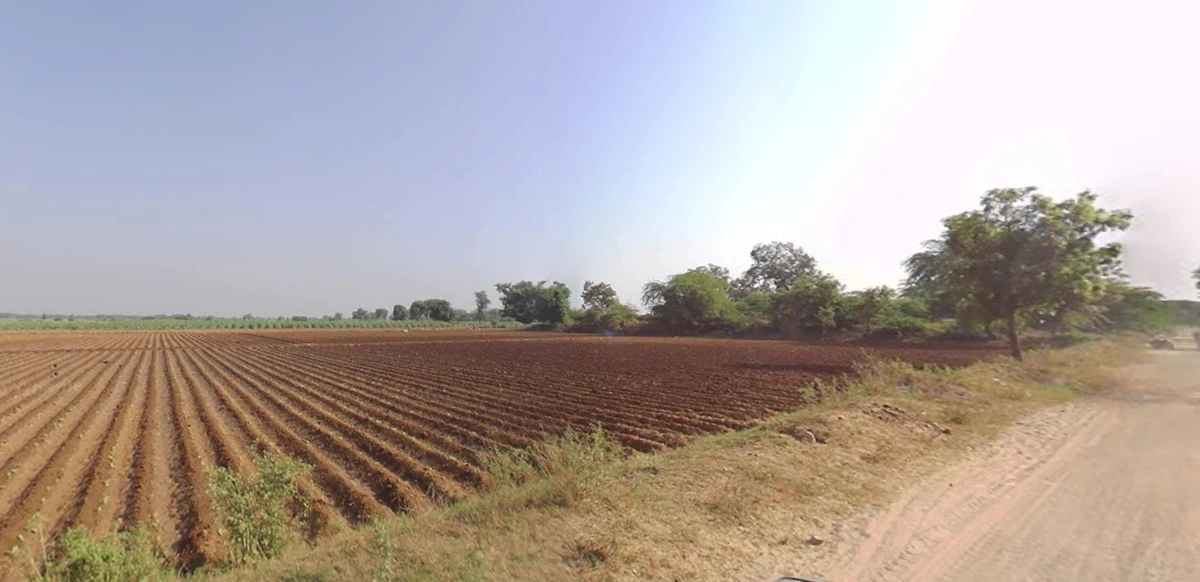 Ravad, Gujarat, India