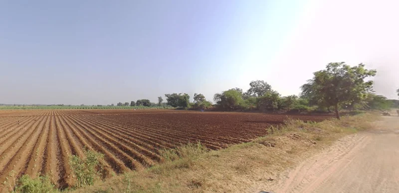 Ravad, Gujarat, India preview 3