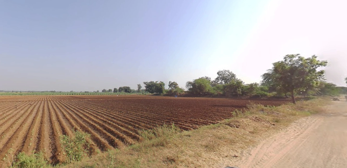 Ravad, Gujarat, India