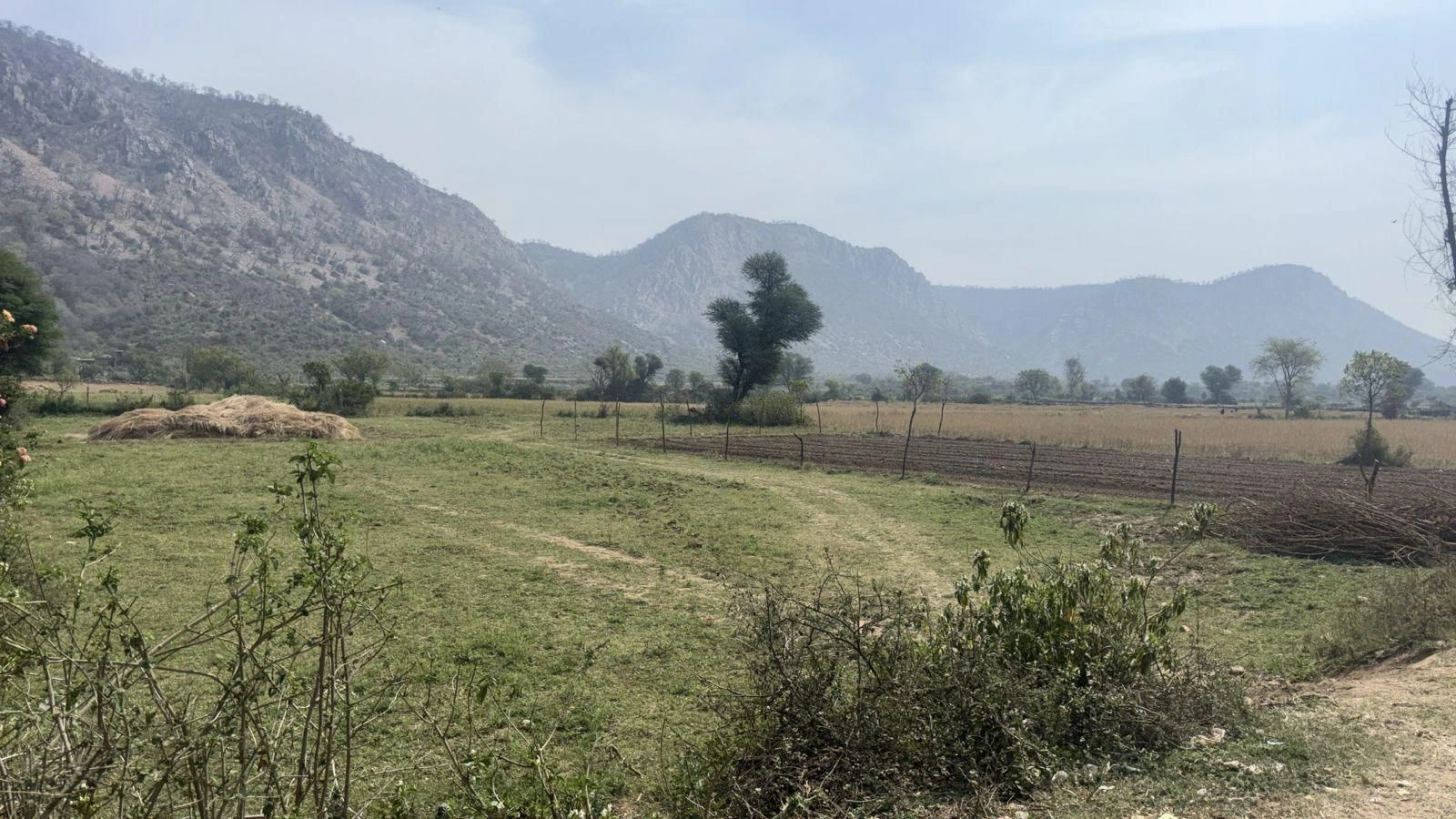 HFCR+WF Rogra, Rajasthan, India