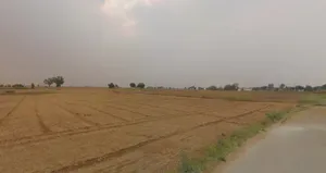 Tijara, Rajasthan 301411, India preview 2