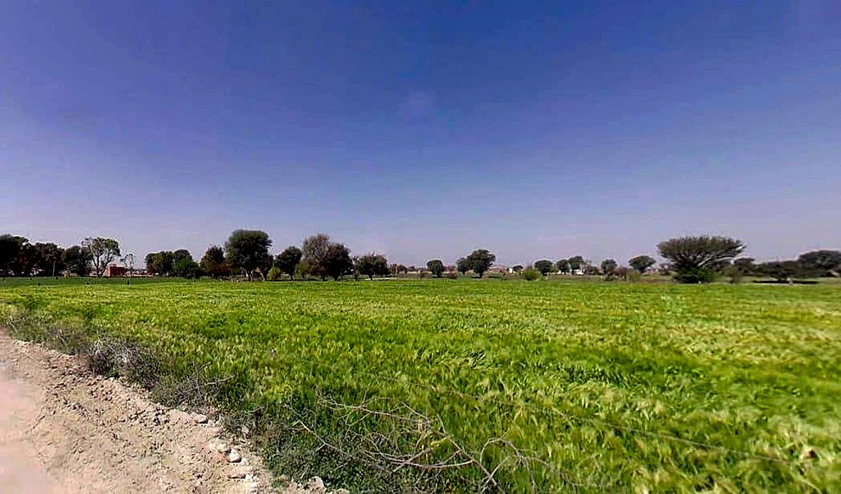 C933+858, Aloda, Rajasthan 332602, India