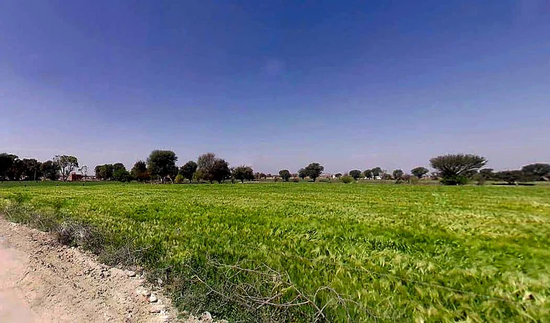 C933+858, Aloda, Rajasthan 332602, India preview 3