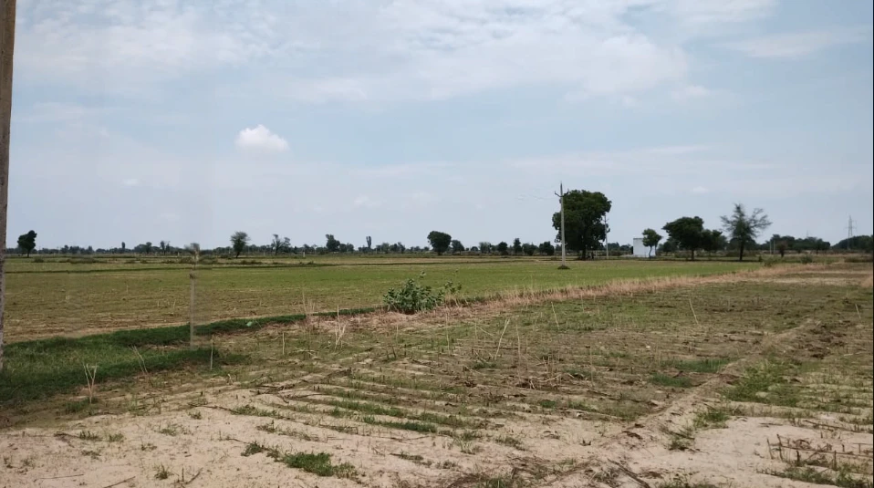 Kinana, Haryana 126114, India