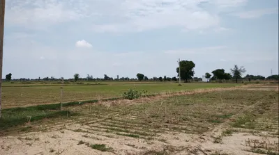 Kinana, Haryana 126114, India preview 2
