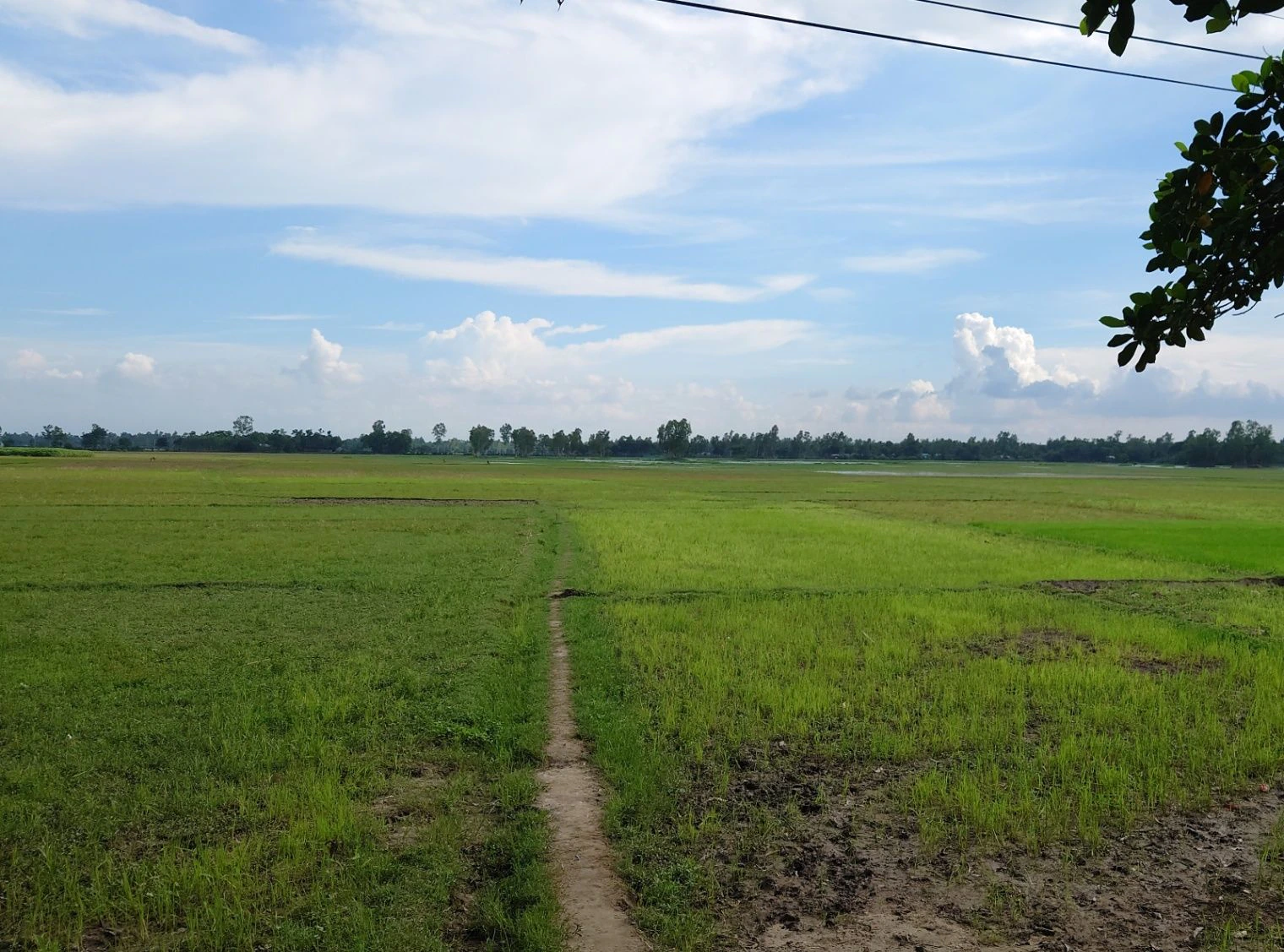 Dharmawala, Herbertpur, Uttarakhand 248142, India