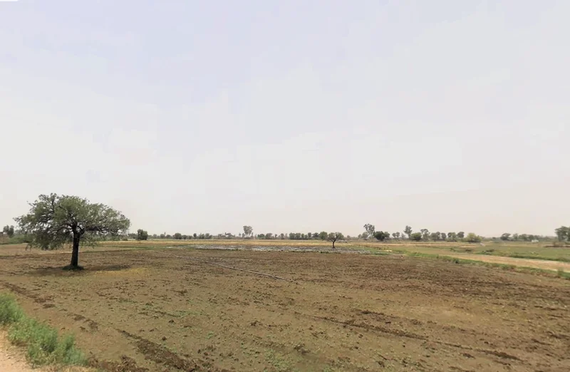 Jharli, Haryana 124106, India preview 2