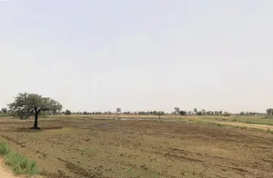 Jharli, Haryana 124106, India preview 2