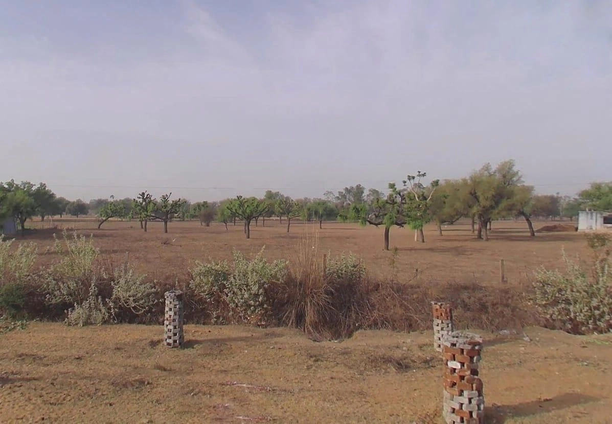 CG66+R2X, Bawari, Baori, Rajasthan 332411, India