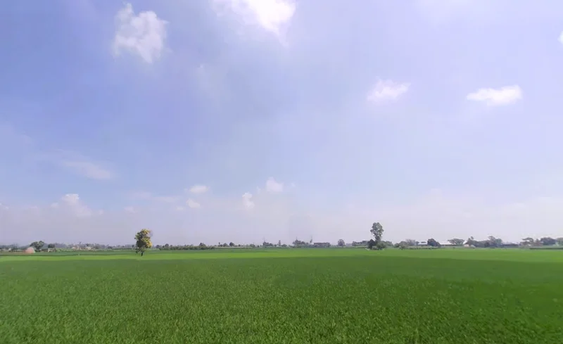 Pai, Haryana 136043, India preview 2