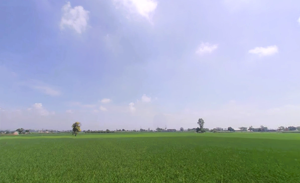 Pai, Haryana 136043, India