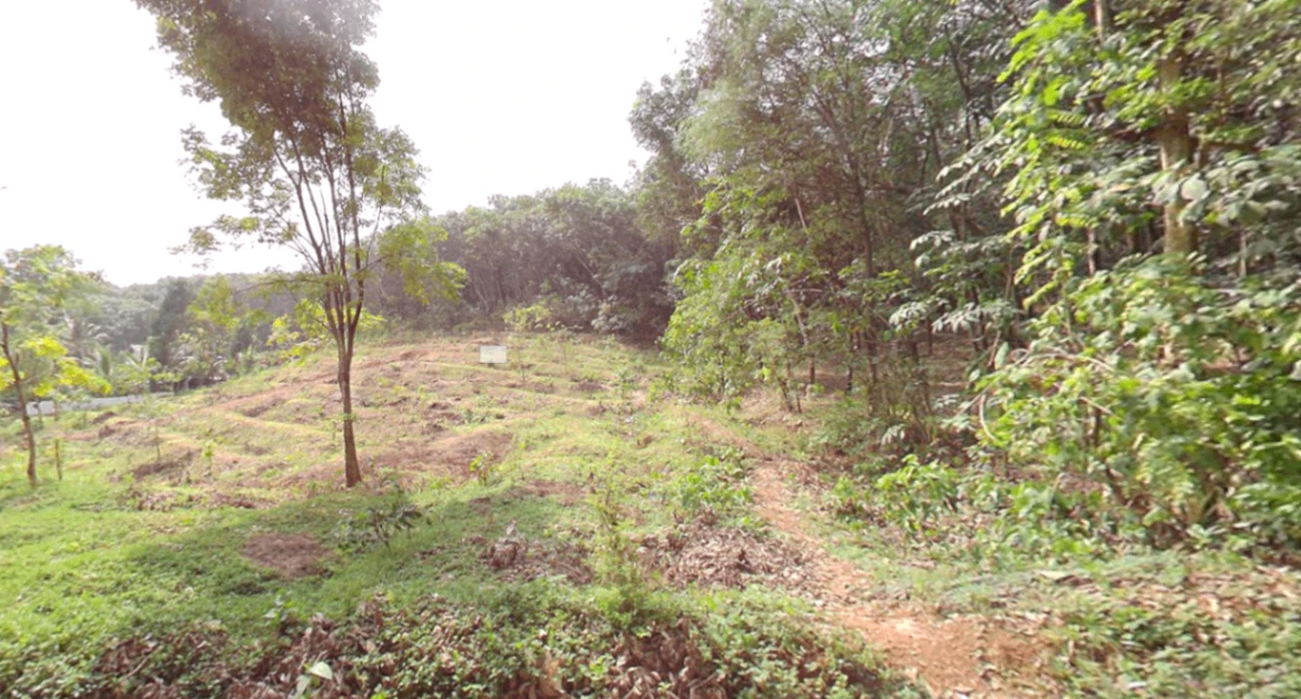 S No 1087/1C, Road, Mamankara, Marutha, Vazhikkadavu, Kerala 679333, India