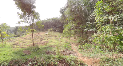 S No 1087/1C, Road, Mamankara, Marutha, Vazhikkadavu, Kerala 679333, India preview 2