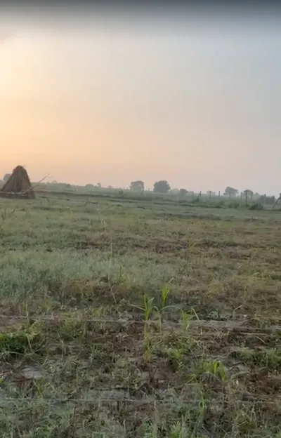 GV68+5V Sarwara, Unnao, Uttar Pradesh, India preview 3