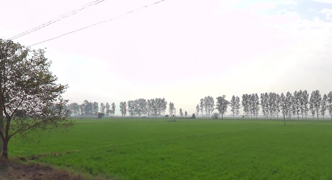 Gadhota, Madhya Pradesh 475220, India