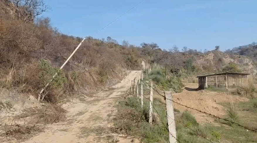 Naraingarh, Haryana 134203, India