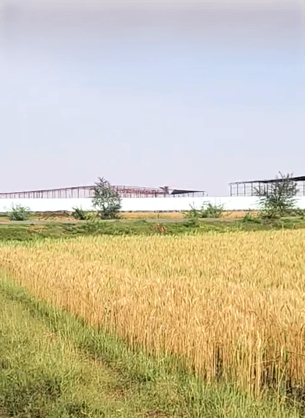 X25V+97J, Sultanpur Nuh, Haryana 122108, India