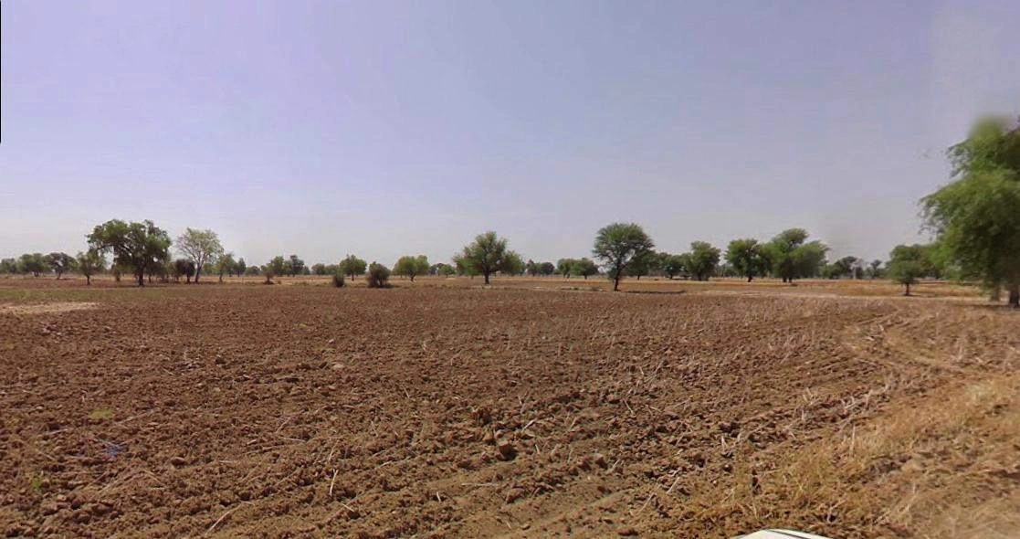 Sonipat, Haryana, India
