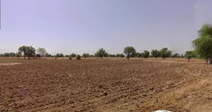 Sonipat, Haryana, India preview 3