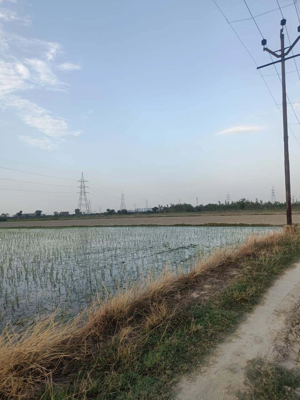 Sankhi, Uttar Pradesh 281401, India