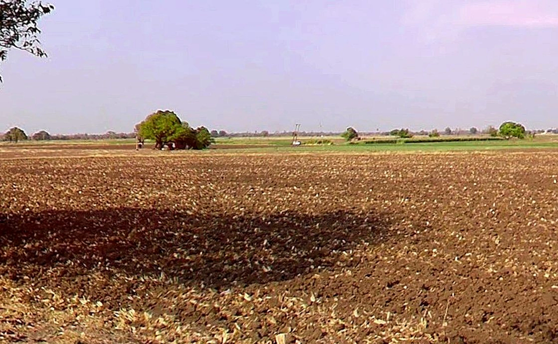 Mangaliya, Madhya Pradesh 465226, India