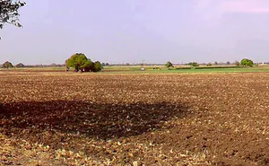 Mangaliya, Madhya Pradesh 465226, India preview 3