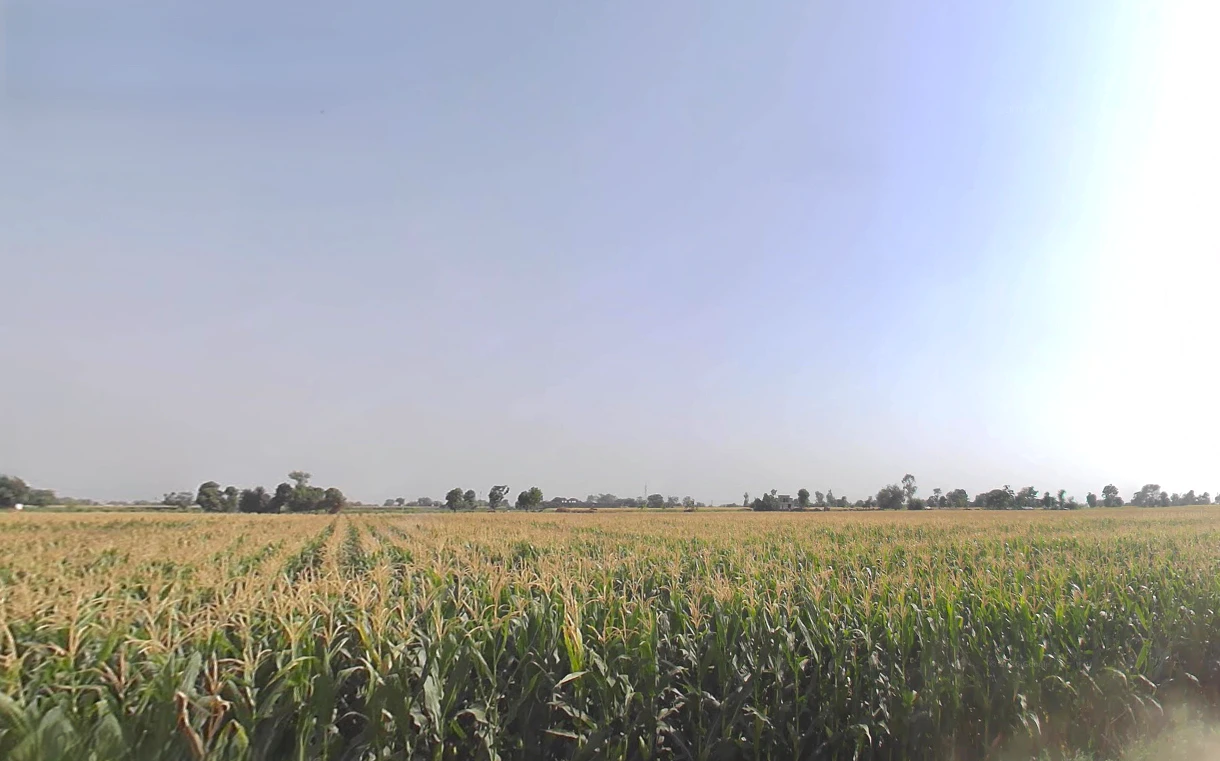 Jwalapur, Uttarakhand, India