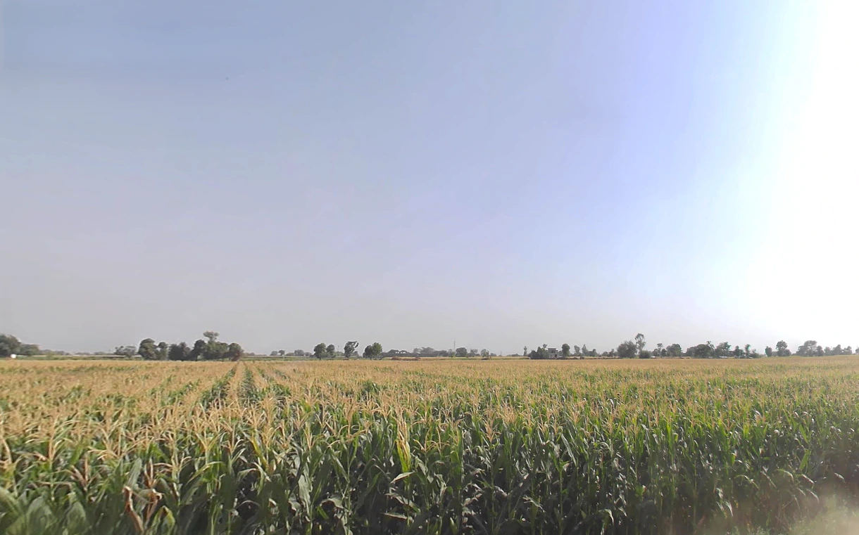 Jwalapur, Uttarakhand, India