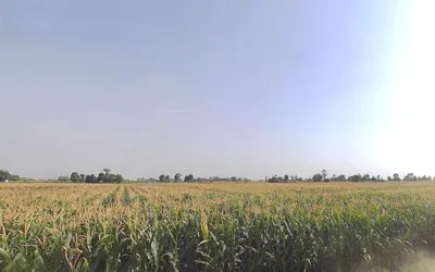 Jwalapur, Uttarakhand, India preview 3