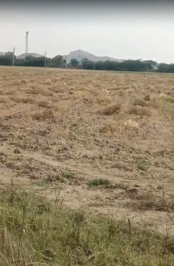 6RGC+9HF, Jebariya, Rajasthan 304021, India