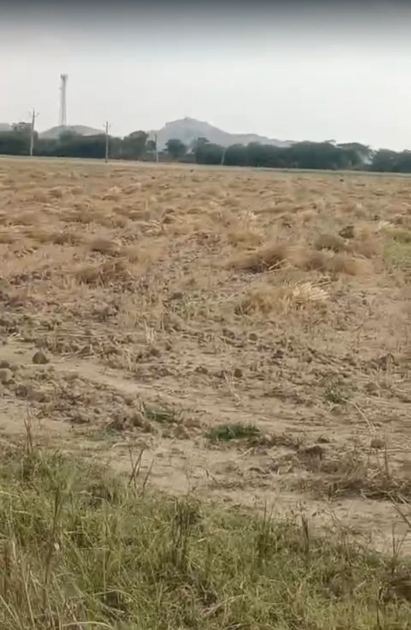 6RGC+9HF, Jebariya, Rajasthan 304021, India