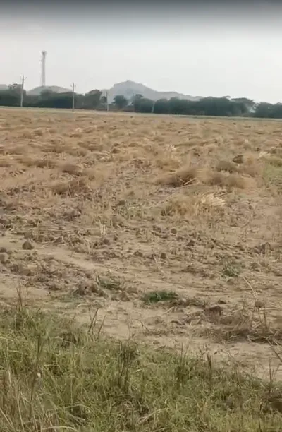 6RGC+9HF, Jebariya, Rajasthan 304021, India preview 3