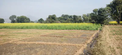 Asaf Nagar, Uttarakhand, India preview 3