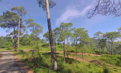 Renuka Ji, Himachal Pradesh 173022, India preview 3