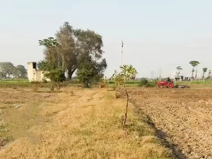 Chirsi, Haryana 121101, India