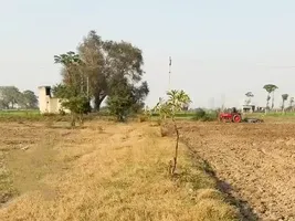 Chirsi, Haryana 121101, India preview 2