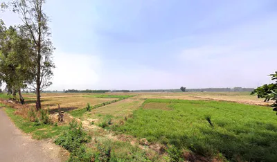 Raipur Rani, Haryana 134204, India preview 3