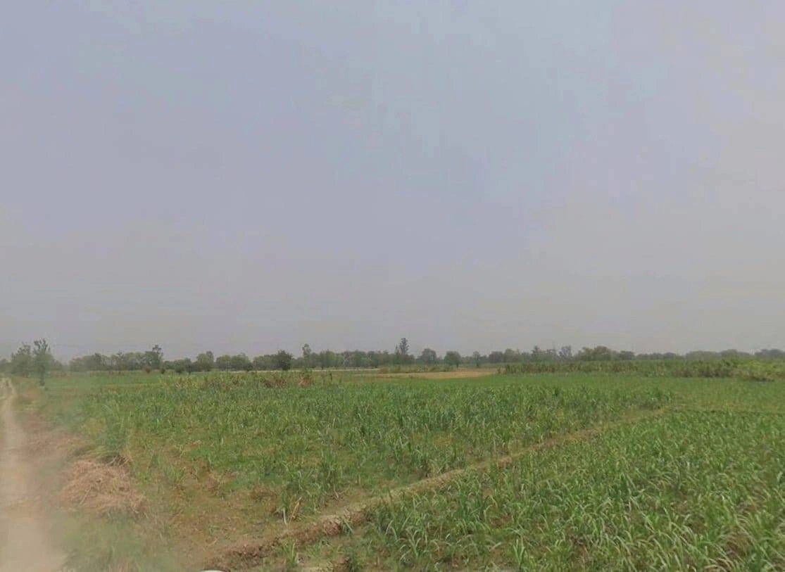 RJ SH 14, Belara Kalan, Rajasthan 321026, India