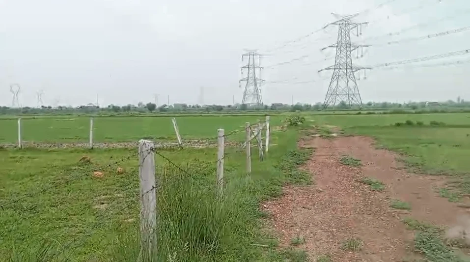 Sultanpur, Gurugram, Haryana, India
