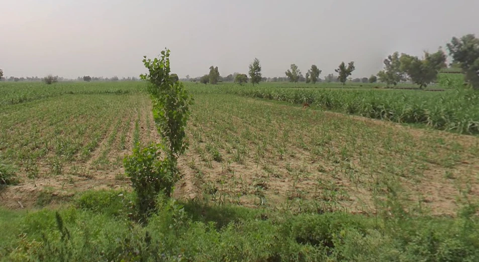 Katra, Uttar Pradesh 250401, India