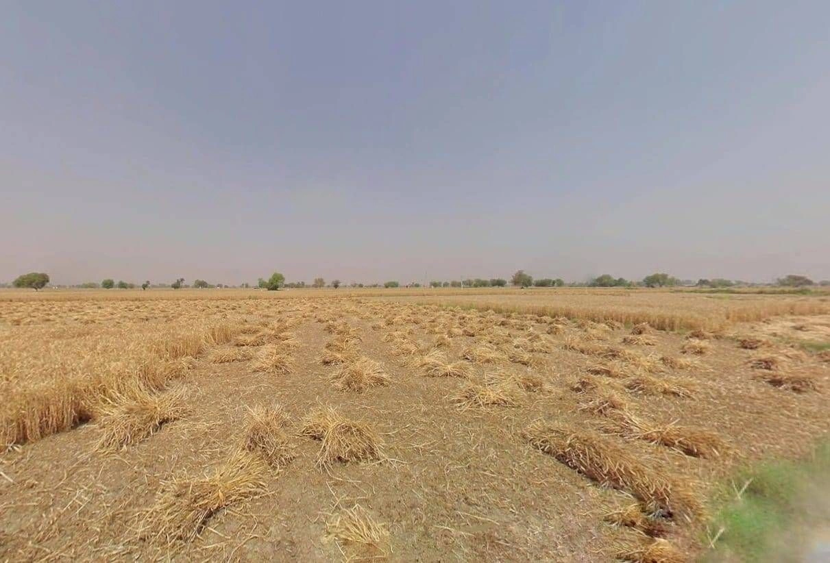 JM89+P57, Basatpur, Uttar Pradesh 245301, India