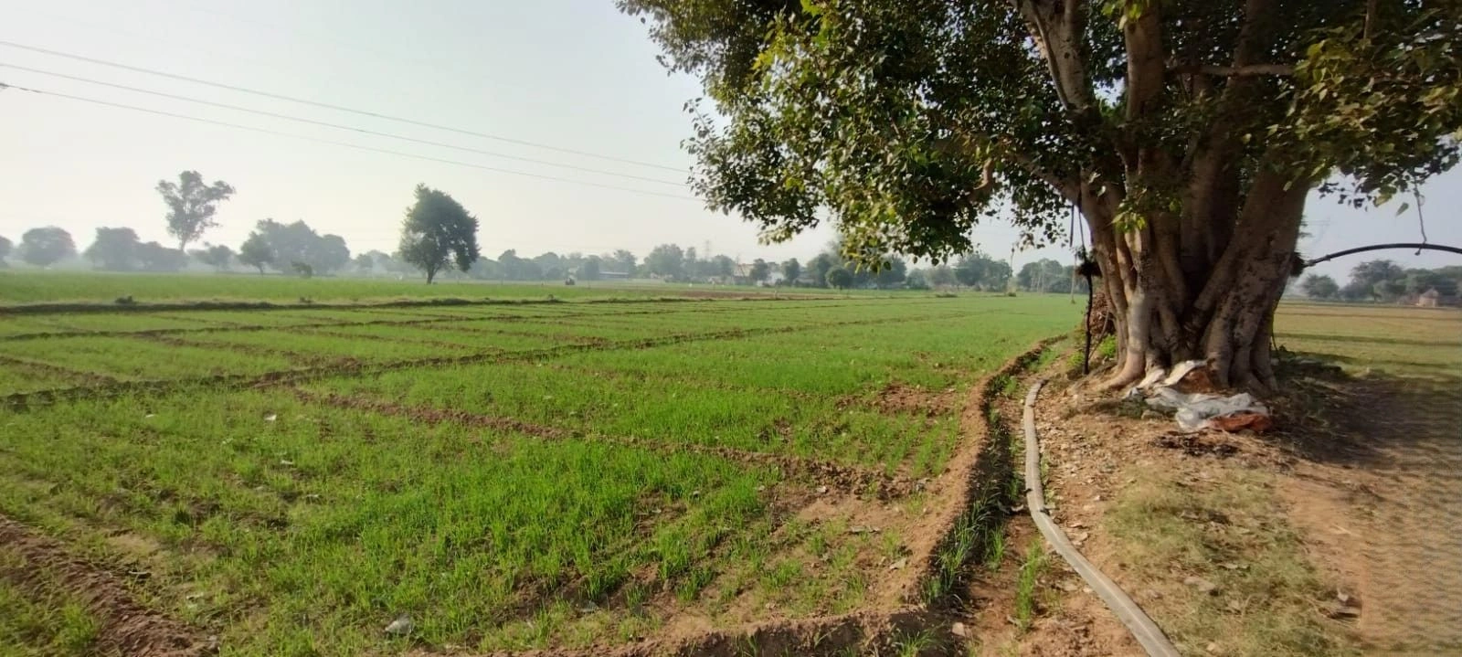 Jahar Khera, Rajasthan, India preview 2