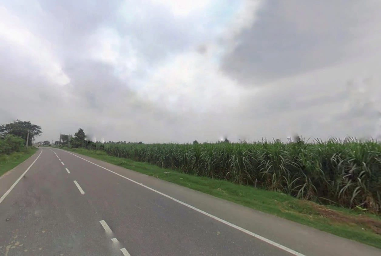 Budhana, Uttar Pradesh 251309, India