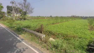 Chikkakanya, Karnataka 571311, India preview 2