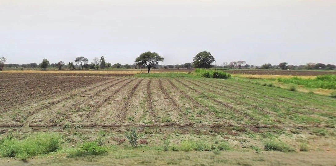 Kharkhoda, Haryana 131402, India