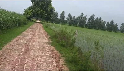Gola Gokaran Nath, Kheri, Uttar Pradesh 262802, India preview 4