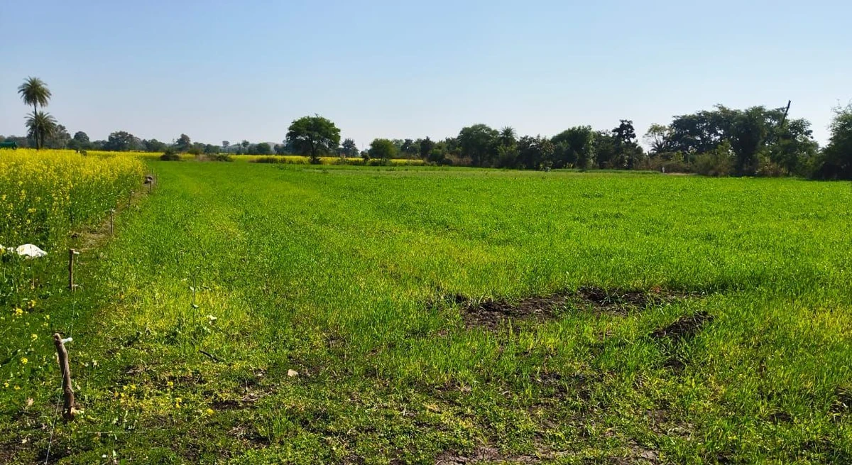 Suthaliya, Madhya Pradesh 465677, India