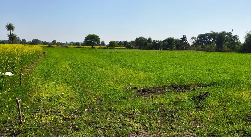 Suthaliya, Madhya Pradesh 465677, India preview 2