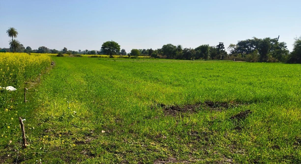 Suthaliya, Madhya Pradesh 465677, India