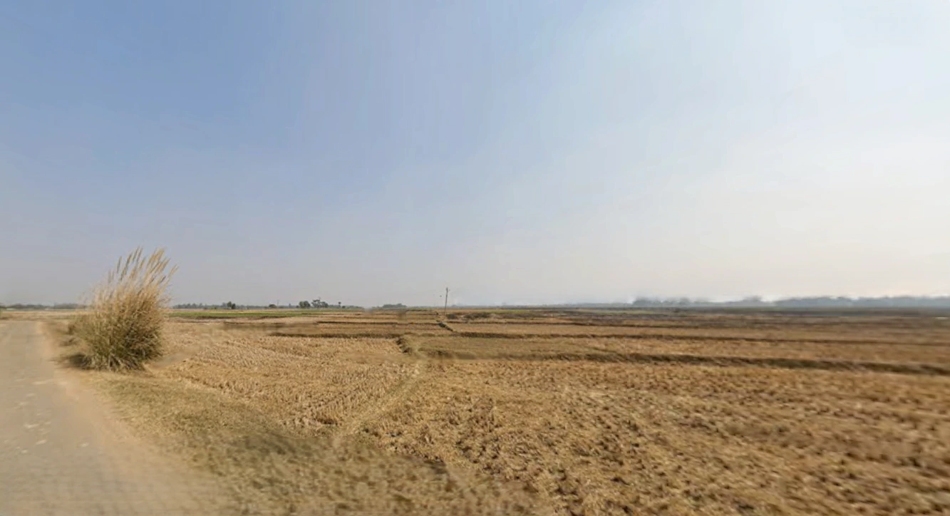 MHRV+XM, Junglee Mohal, West Bengal 735133, India